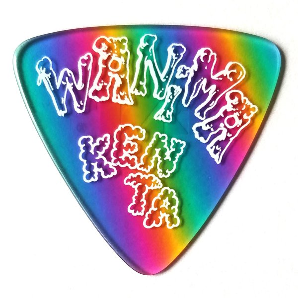 （WANIMA）ピック（KENTA） 楽天市場】(8種各2枚 計16枚セット)ESP WANIMA KENTA ピック【送料無料