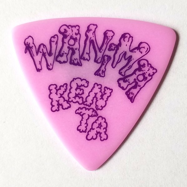 【週末特価】ESP「AP-SL」WANIMA KENTA KENTA | ESP GUITARS