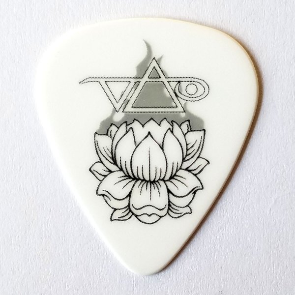 楽天市場】Jim Dunlop ギターピック ザックワイルド 488C ZAKK