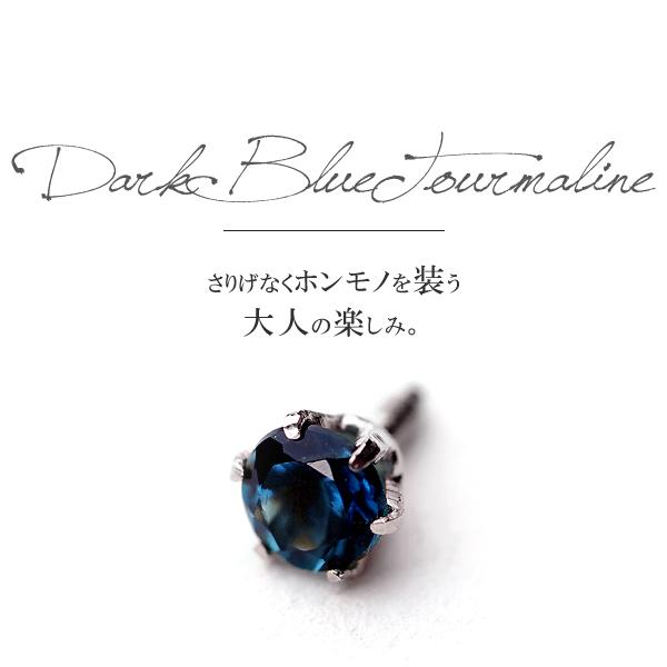 プラチナ ダークブルートルマリン ボディピアス 軟骨ピアス トラガス インナーコンク アウターコンク 軟骨ピアス各部位にオススメ Picollet Alittlepeaceofmind Co Uk プラチナ ダークブルートルマリン ボディピアス 軟骨ピアス トラガス インナーコンク アウターコンク 軟骨ピアス各部位にオススメ Picollet Alittlepeaceofmind Co Uk