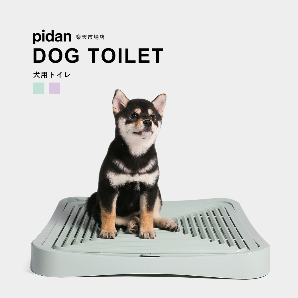 楽天市場 犬用トイレ Pidan ピダン 犬 トイレ トイレトレー ワイド 飛び散り 防止 しつけ イタズラ防止 おしゃれ Ks Pidan ピダン 楽天市場店