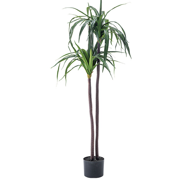 【ポイント10倍!今晩20時開始】人工観葉植物 フェイクグリーン ドラセナ GRN-15 H140cm 人工植物 観葉植物 おしゃれ フェイク 造花 大型 グリーン インテリア|Pie-no