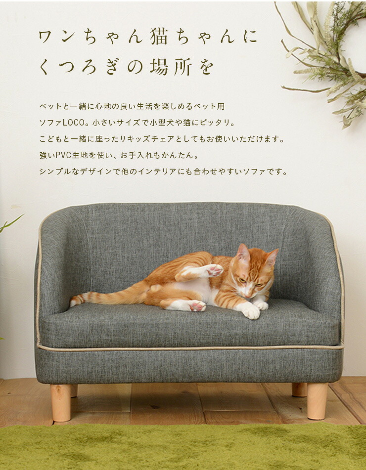 希少 脚取り外し可 ペット用 ソファ Loco ロコ 2色対応 ソファー 犬用 猫用 Pvc 合皮 ベッド ペットベッド 猫 犬 ペット ペット用 ペットグッズ ペット用品 猫ベッド 犬ベッド かわいい 人気特価激安 Www World Of Heating De