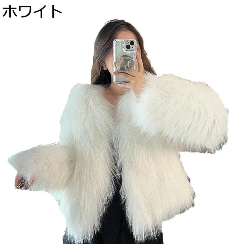 冬服 秋服 丸首 ジャケット ファーコート レディース 冬服 シャ