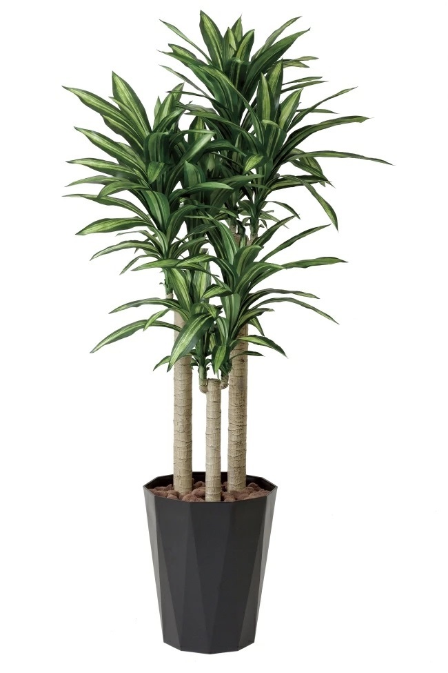 激安 エスショップ光触媒 人工観葉植物 光の楽園 パキラ 90 209A100