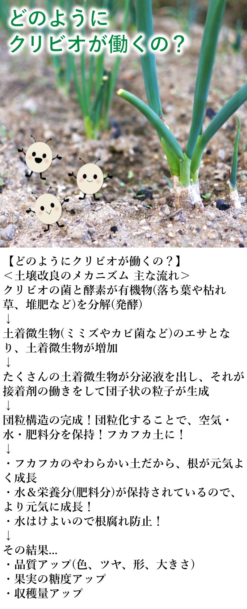 クリビオ 農業 園芸 土づくり 団粒化 有機栽培 乳酸菌 国産 l 無農薬栽培 自然由来成分 畑 納豆菌 野菜栽培 土 日本製 フカフカ エコ 花 オーガニック 田んぼ 酵母菌 無添加 酵素 微生物 観葉植物 ガーデニング 家庭菜園 園芸資材 堆肥 バイオ 土壌改良