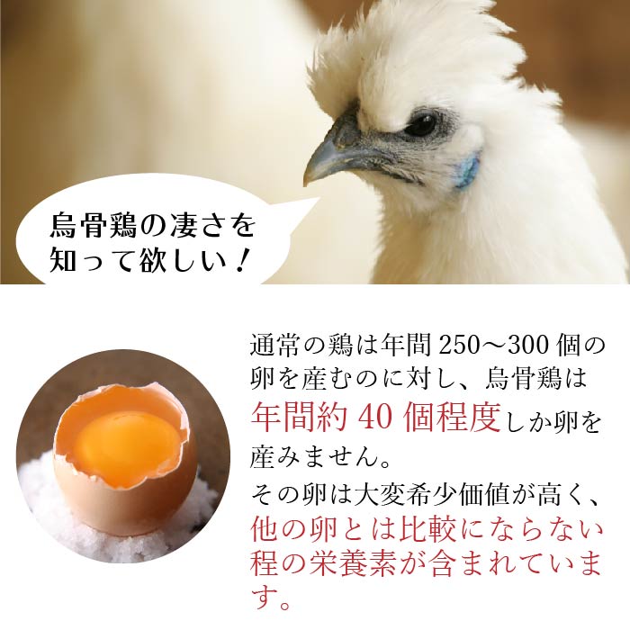 5%OFF】 創作品用 高級品、烏骨鶏の筆 希少品です。 - 書 - www ...