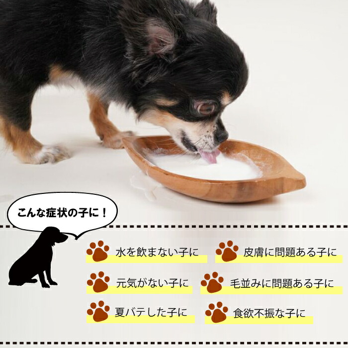 史上最も激安 メール便 ミルク本舗 オランダ産 やぎミルク 100g 犬用 猫用 粉末ミルク オーガニック Shipsctc Org