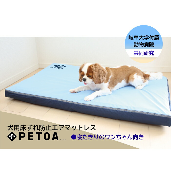 百貨店SALEお買い得商いもの引き合わせる！