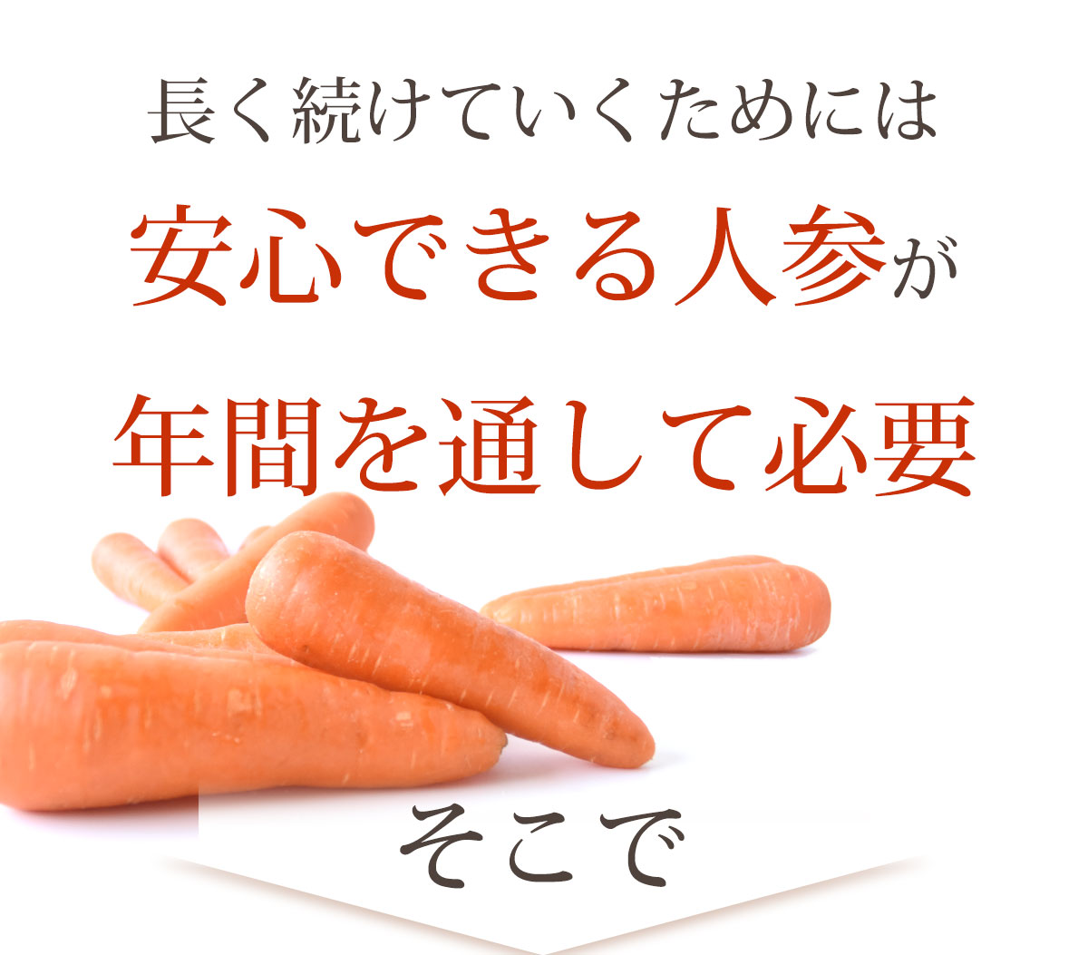 安心できる人参を年間通して