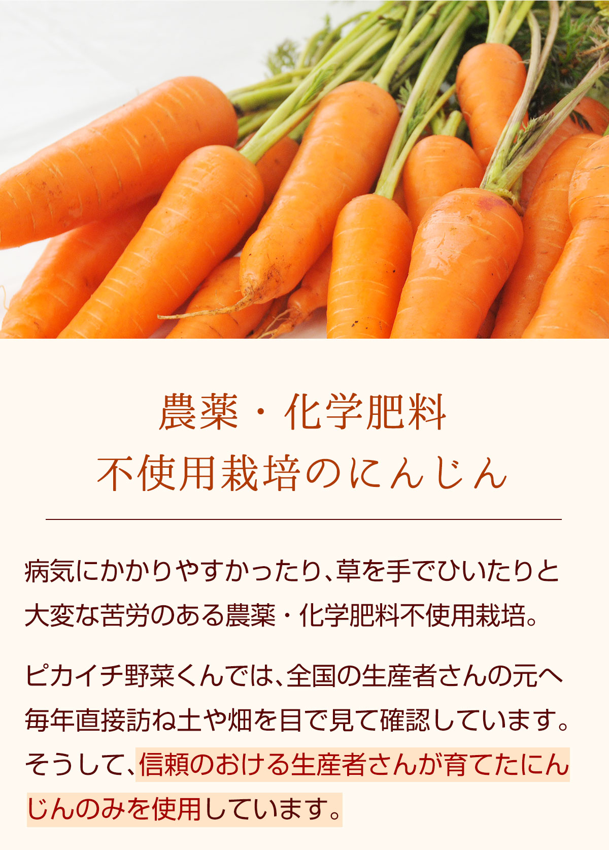 農薬・化学肥料不使用栽培のにんじん