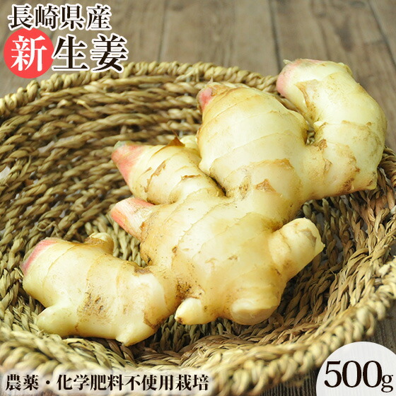さやだんご 囲い生姜 5kg 農薬肥料栽培期間中不使用 熊本県産 楽天市場】無農薬 生姜 ( 新生姜 ) 1kg 3kg 長崎県産 しょうが