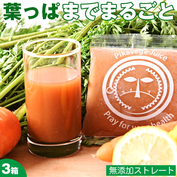 【3箱】 にんじんジュース 無添加 人参ジュース 葉っぱ付きまるごと人参ジュース 合計100ml×90パック ピカイチ野菜くん ニンジンジュース 国産 無農薬人参 無農薬 有機 有機人参ジュース コールドプレスジュース ストレート 野菜ジュース ファスティング ジュースクレンズ|人参ジュースのピカイチ野菜くん