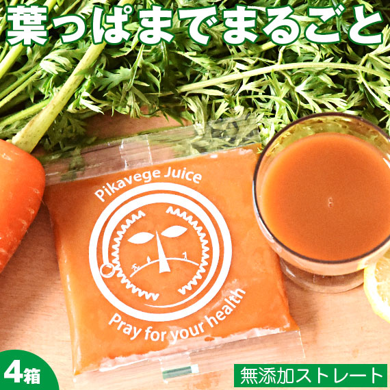 【4箱】 にんじんジュース 無添加 人参ジュース 葉っぱ付きまるごと人参ジュース 合計100ml×120パック ピカイチ野菜くん ニンジンジュース 国産 無農薬人参 無農薬 有機 有機人参ジュース コールドプレスジュース ストレート 野菜ジュース ファスティング ジュースクレンズ