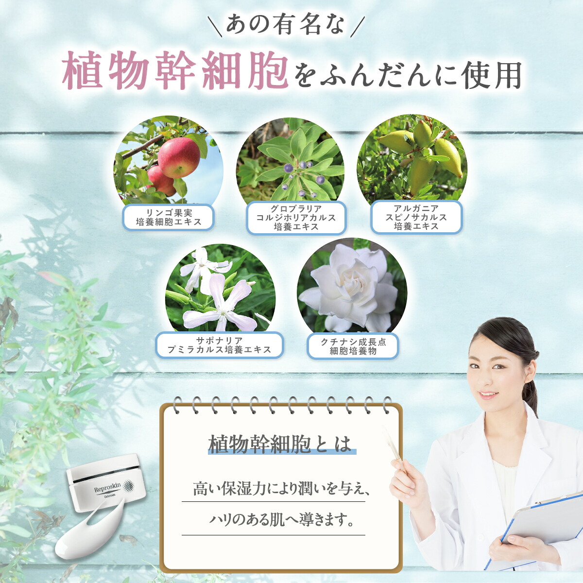 楽天市場 ニキビ 跡 クレーター クリーム マスク 肌荒れ 対策 植物幹細胞エキス配合リプロスキン ジェルクリーム 50gメンズ レディース 大人 色素沈着 消し 凸凹 脂性肌 美と健康 スキンケア専門 ピカイチ