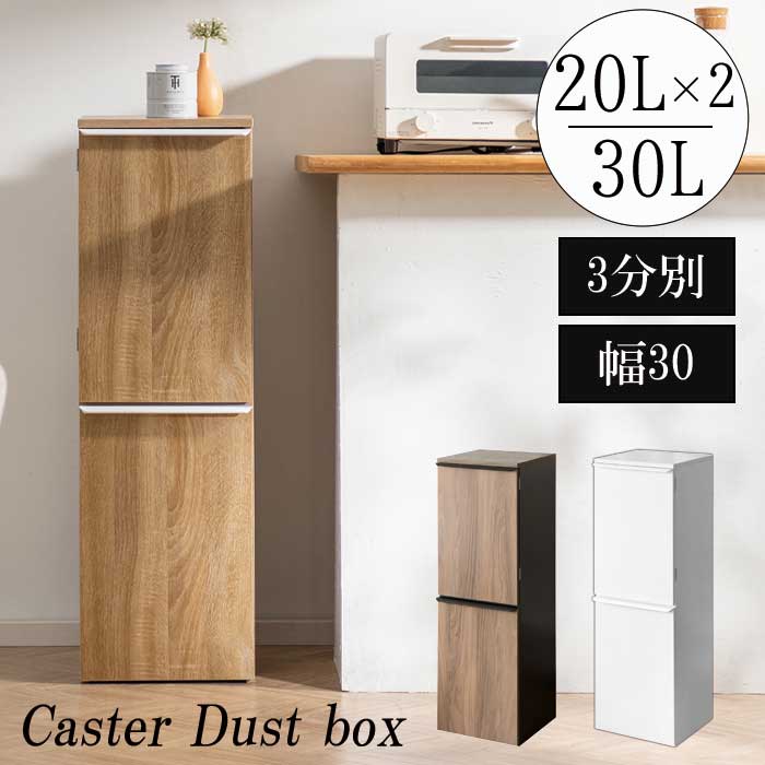 ダストボックス おしゃれ 3分別 ゴミ箱 分別ごみ箱 分別 キャスター付 プッシュ式 臭わない フロントオープン おしゃれ分別 袋 中身が見えない キッチンゴミ箱 木目調 リビングゴミ箱 ダストボックスふた付
