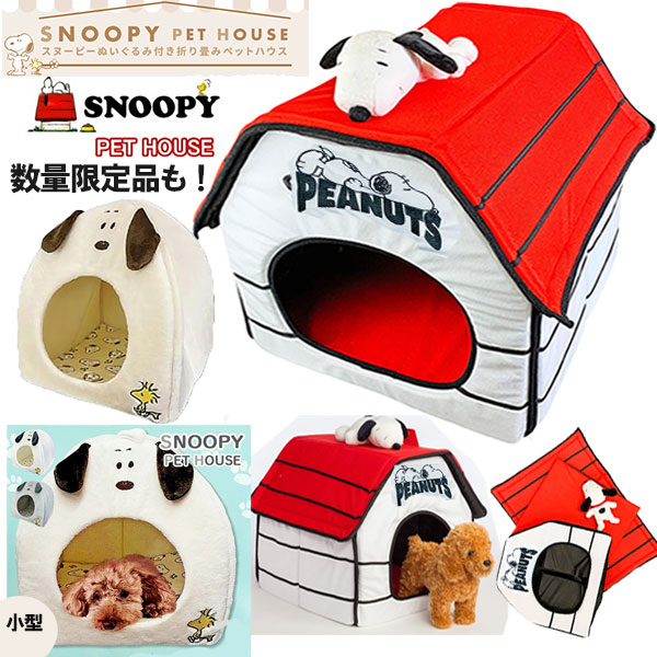 pi-snoopy-new01.jpg