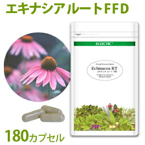 ECLECTIC/エクレクティック エキナシア/エキナセア 根 FFD エコ容器に並べる 180cp 差し上げ物 差し上げ物 差し上げ物 生まれ落ちる日