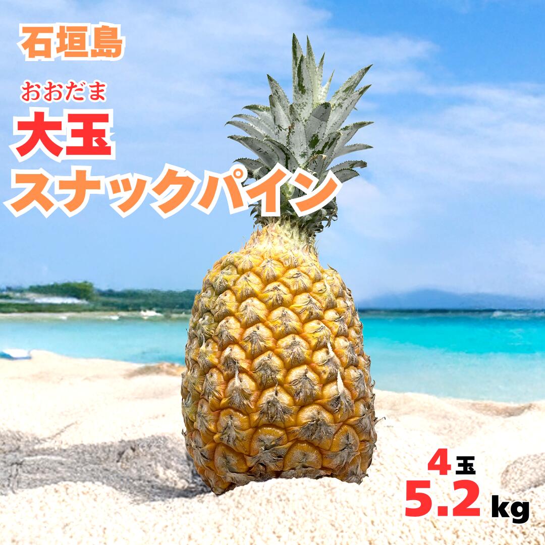 あー　スナックパイン×10玉 沖縄県産 スナックパイン 約5kg（約5～10玉）