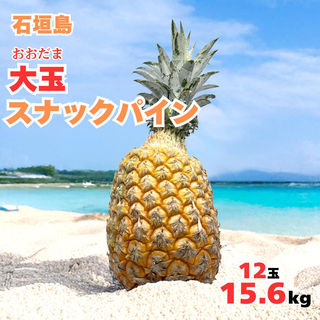 専用出品です　食用ほおずき　トマチロコサックパイナップル　2kg 専用出品です 食用ほおずきトマチロコサックパイナップル 2kg 8