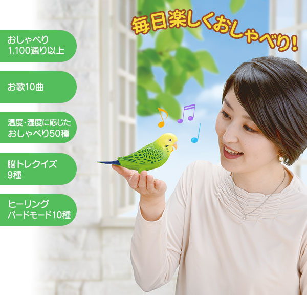 2021高い素材 毎日おしゃべり天才インコちゃん 送料無料 fucoa.cl