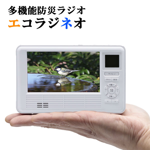 【即積みだし】＼ペイジ押さえる・歌留多入れもの付／ エコラジネオ【貨物輸送無料】