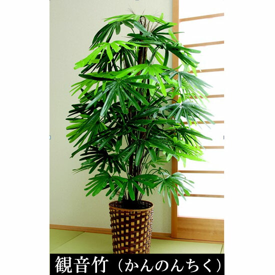 注記でおまけ随従 観葉草木 ベンジャミン 観音タケ 大型観葉植物 インテリアデコレーション緑 観音竹 ベンジャミン 人工植物 フェイク Digitalland Com Br