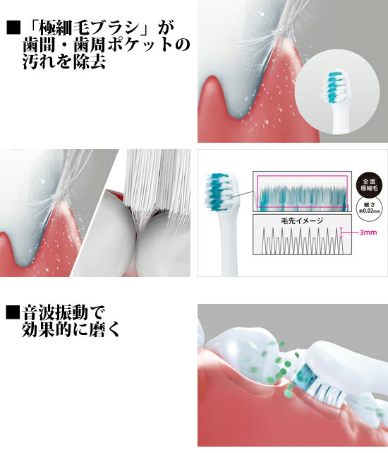 楽天市場 パナソニック 音波振動ハブラシ ドルツ Ew Dm62 パインバリュー楽天市場店