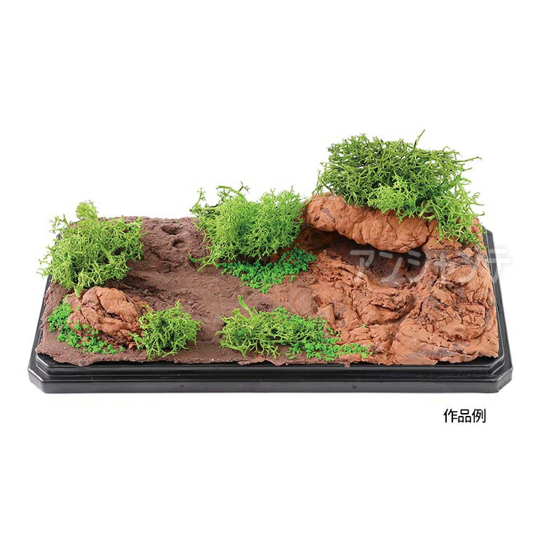 楽天市場】ジオラマ模型 ヤシの木 1/50 10個 1セット入 / 木