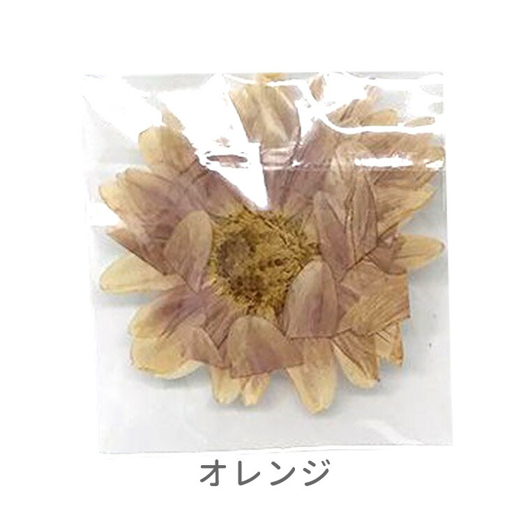 市場 選べる2色 ドライフラワー 緑 押し花 クラフト 橙 3枚入 シラネリア レジン パーツ