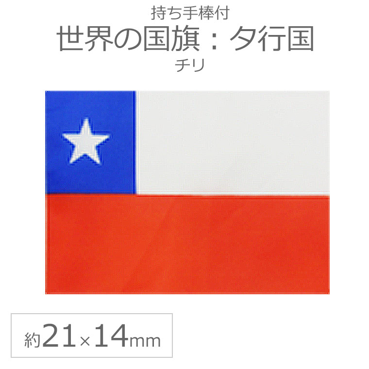 格安販売中 中国の国旗 ミニ手旗 中国の旗 21×14cm China flag 5つ星の