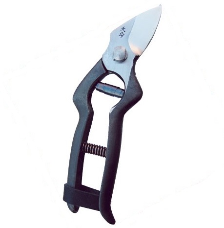 花楯産業 天命作剪定鋏 Amazon | 花楯産業 天命作剪定鋏 神津軽