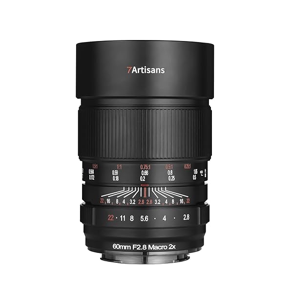 7artisans 60粍 F2.8 MACRO 2X マクロカメラレンズ 盛りだくさんひな形 水晶体 マニュアルフォーカスレンズ 大差しわたし 虫けら・花の映画化 Eマウント写真器5000 A5100 A6000 A6100 A6300 A6400 A6500 カメラ用交換レンズ-カメラ・ビデオカメラ・光学機器-TV・オーディオ・カメラ