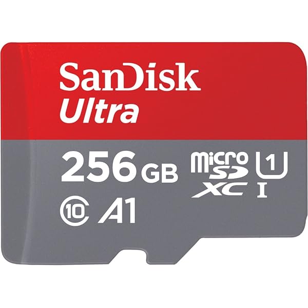 SanDisk SDSQUA4-256G-GN6MN 外国でリテール アダプタ無 パソコン・周辺機器-その他