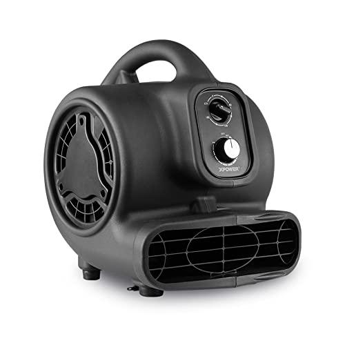 XPOWER P-250 DT多機能移動共用ファン乾燥機、復元用タイマー、無段階速度調整システム、空気臭気除去ジェルビーズ付き Black|ぴっぴストア 店