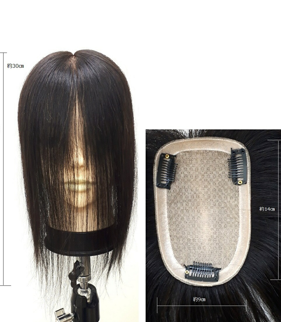 楽天市場】【代引き不可】 ジェニュイン NBAA アップウィッグ 2