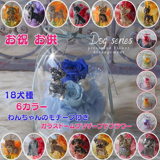 「19犬種のわんちゃんモチーフから選べる」プリザーブドフラワー ガラスドームアレンジメント 犬 モチーフ付き （6カラー）フラワーアレンジメント フラワーギフト 誕生日 誕生日プレゼント ペット お供え 御供 供養 お悔やみ 母の日 敬老の日 還暦祝い ダックス トイプー 花