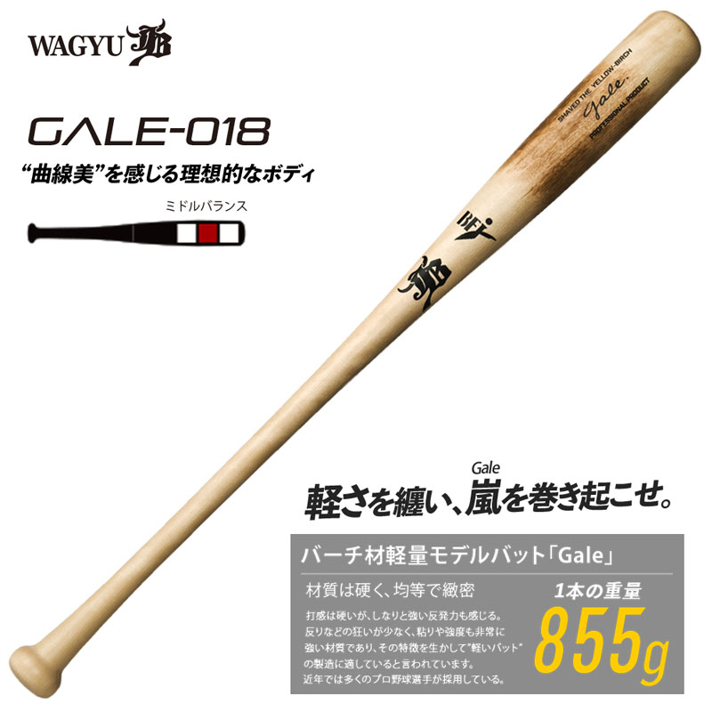 楽天市場】和牛JB バーチ材硬式木製バット (Gale) 野球 硬式木製バット