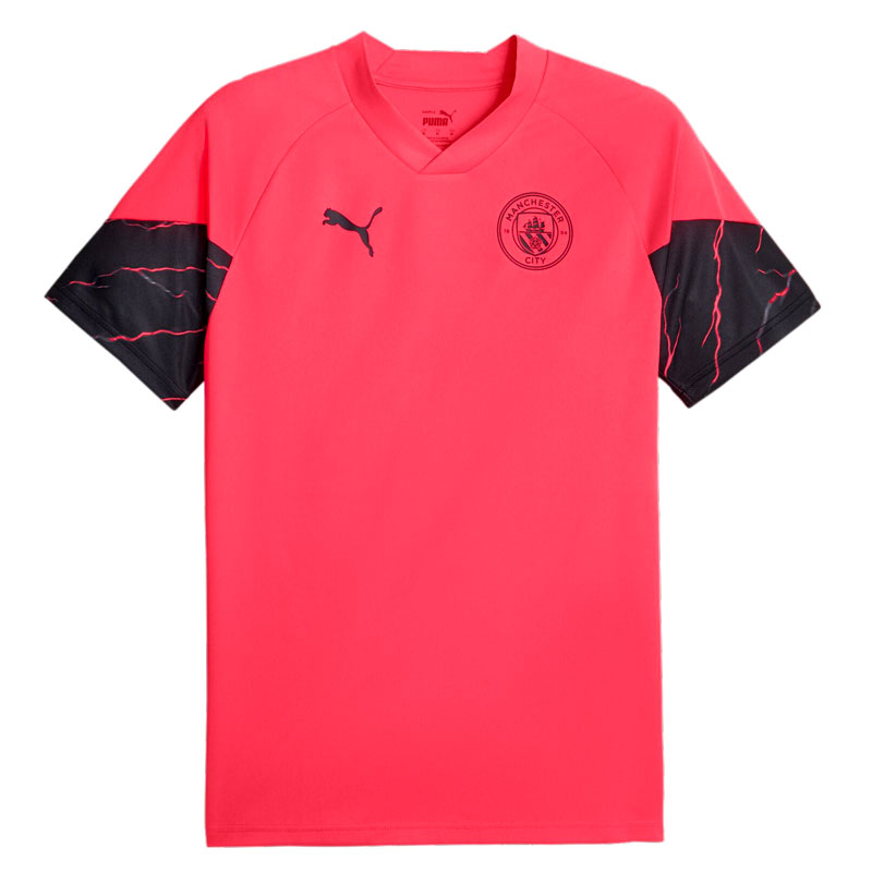 楽天市場】プーマ サッカーウェア レプリカシャツ メンズ