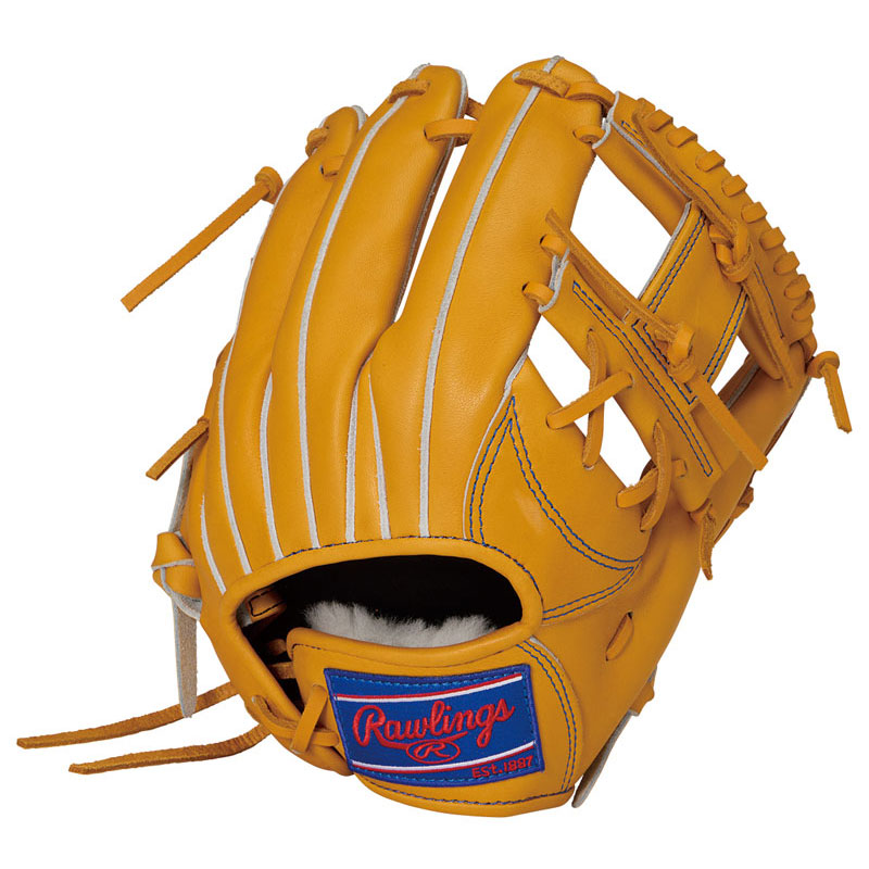 ローリングス Rawlings 硬式 HOH ライジングスター COMB N6X0 GT 硬式用グラブ グローブ 26SS GH6HRN6X0-GT