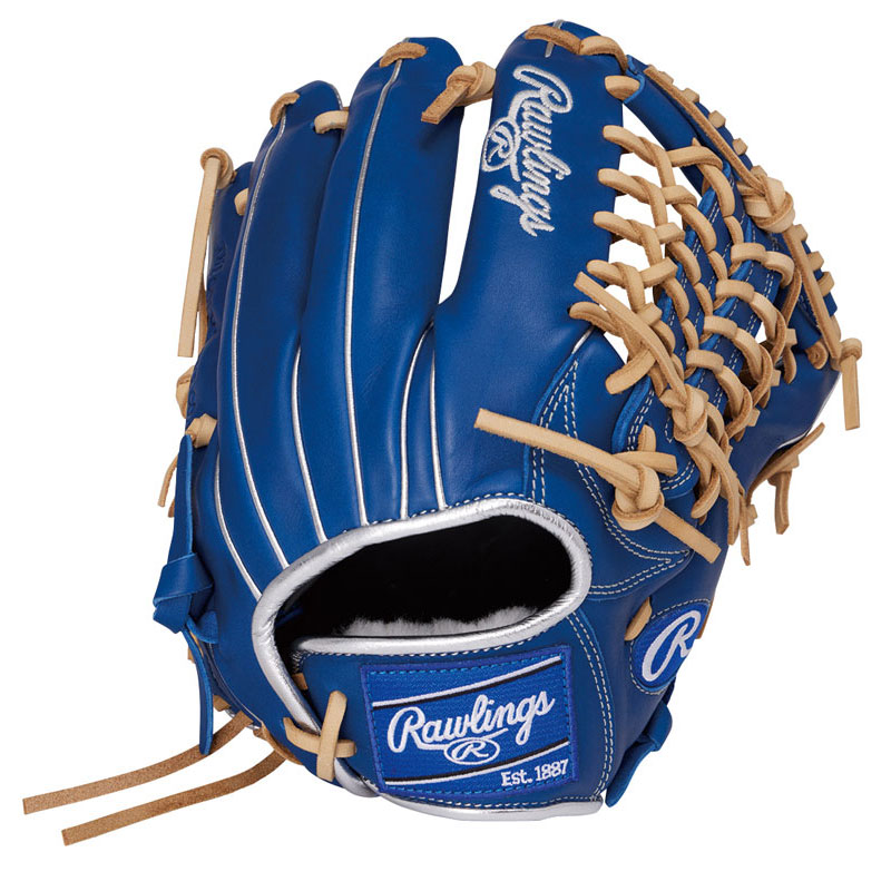 ローリングス Rawlings 軟式 HOH プロエクセルエリート N650 RY 軟式用グラブ グローブ 26SS GR6HEEN650-RY
