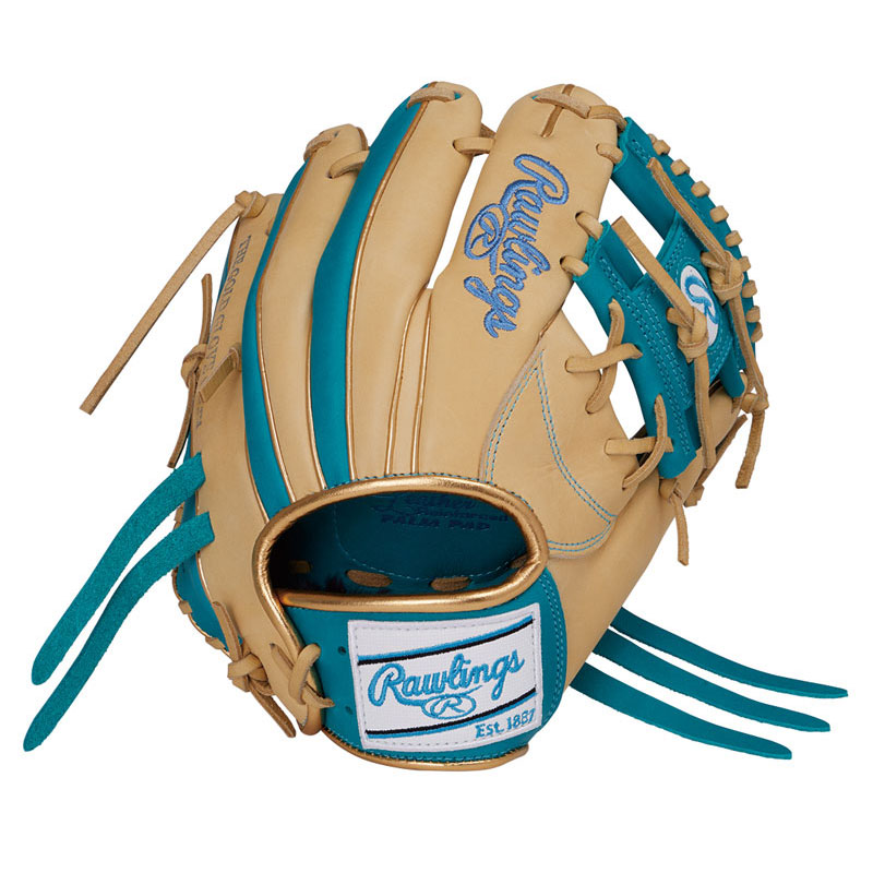 ローリングス Rawlings硬式 ゲーマー N6T CAM/TE硬式用グローブ トレーニング用 26FWGH6FTGN6T|ピットスポーツ 店