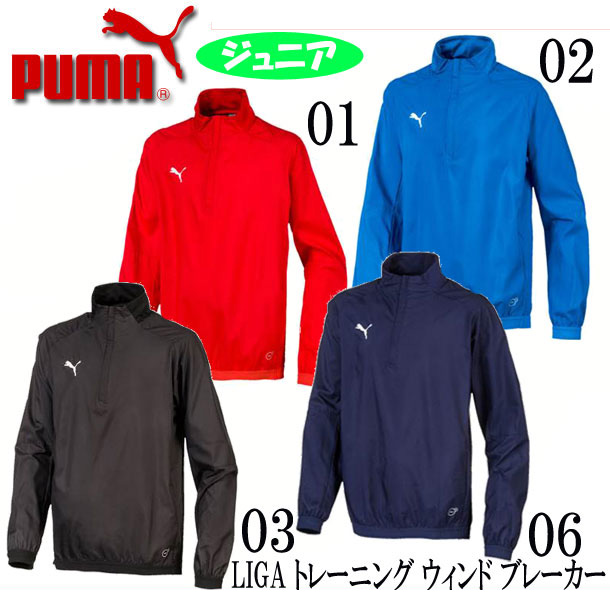 puma blue windbreaker