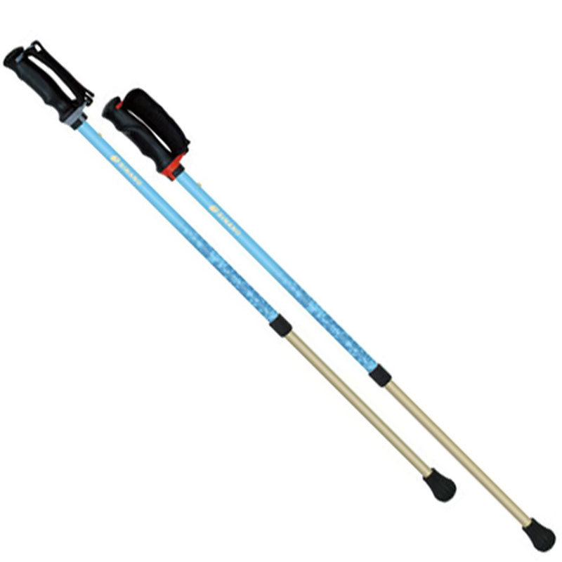 楽天市場】sinano(シナノ)レビータトゥインクル ショート Hウエルネス