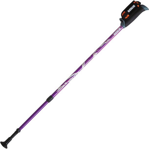 DFP プログレッシブズーム 【HATACHI】ハタチ ウエルネスポール (wh1120-68)