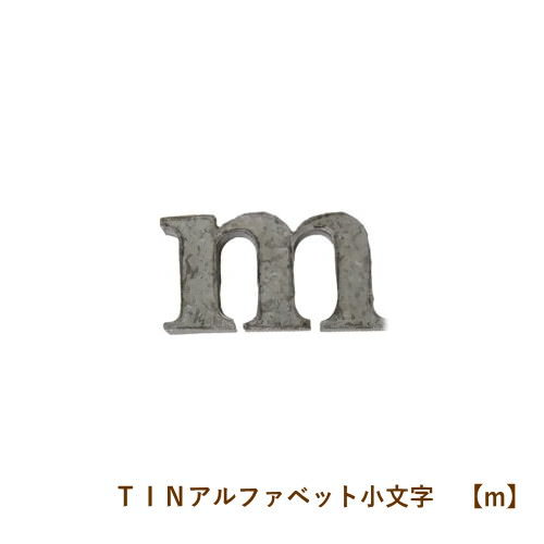 楽天市場 即出荷 ｍ Tinアルファベット小文字 アルファベット オブジェ ブリキ インテリア 雑貨 イニシャル 小文字 表札 アイアン ガーデニング おしゃれ かわいい 装飾 パーツ ローマ字 ディスプレイ ネコポス便ｏｋ あす楽対応 Pitch