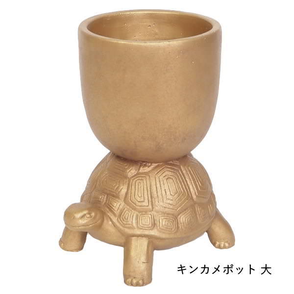 楽天市場】【あす楽】 プランター クロカメポット大 2043 キンカメ