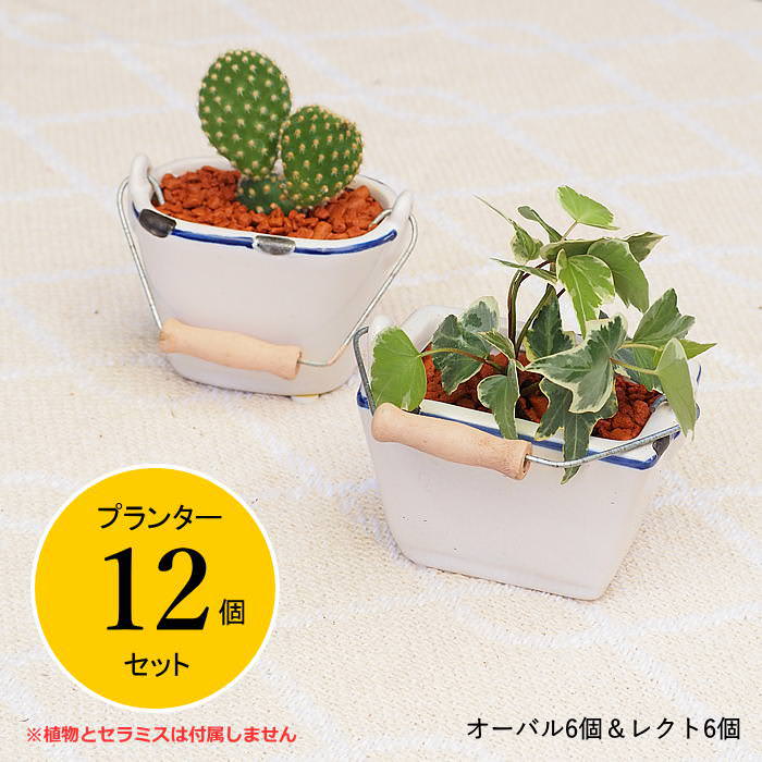 楽天市場】【あす楽】 プランター ミニ 植木鉢 シーブルーハンドル 12