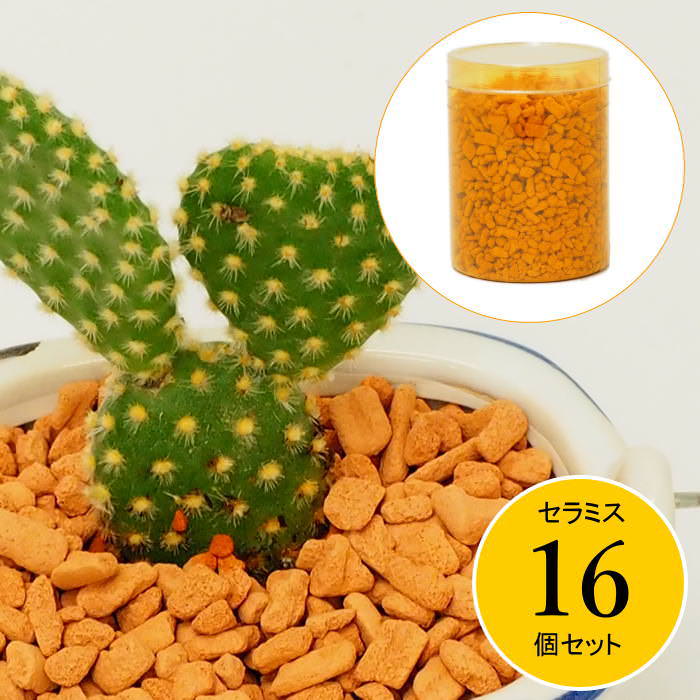【入手困難】薬用植物栽培全科 h20241105-502004-04.jpg