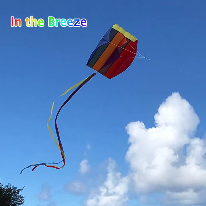#スカイスポーツ カイト 中国　濰坊　風箏　魚凧　海外商品　风筝 kite 美品 スカイスポーツ カイト 中国 濰坊 風箏 魚凧 海外商品 风筝 kite